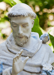 st-francis_620579672