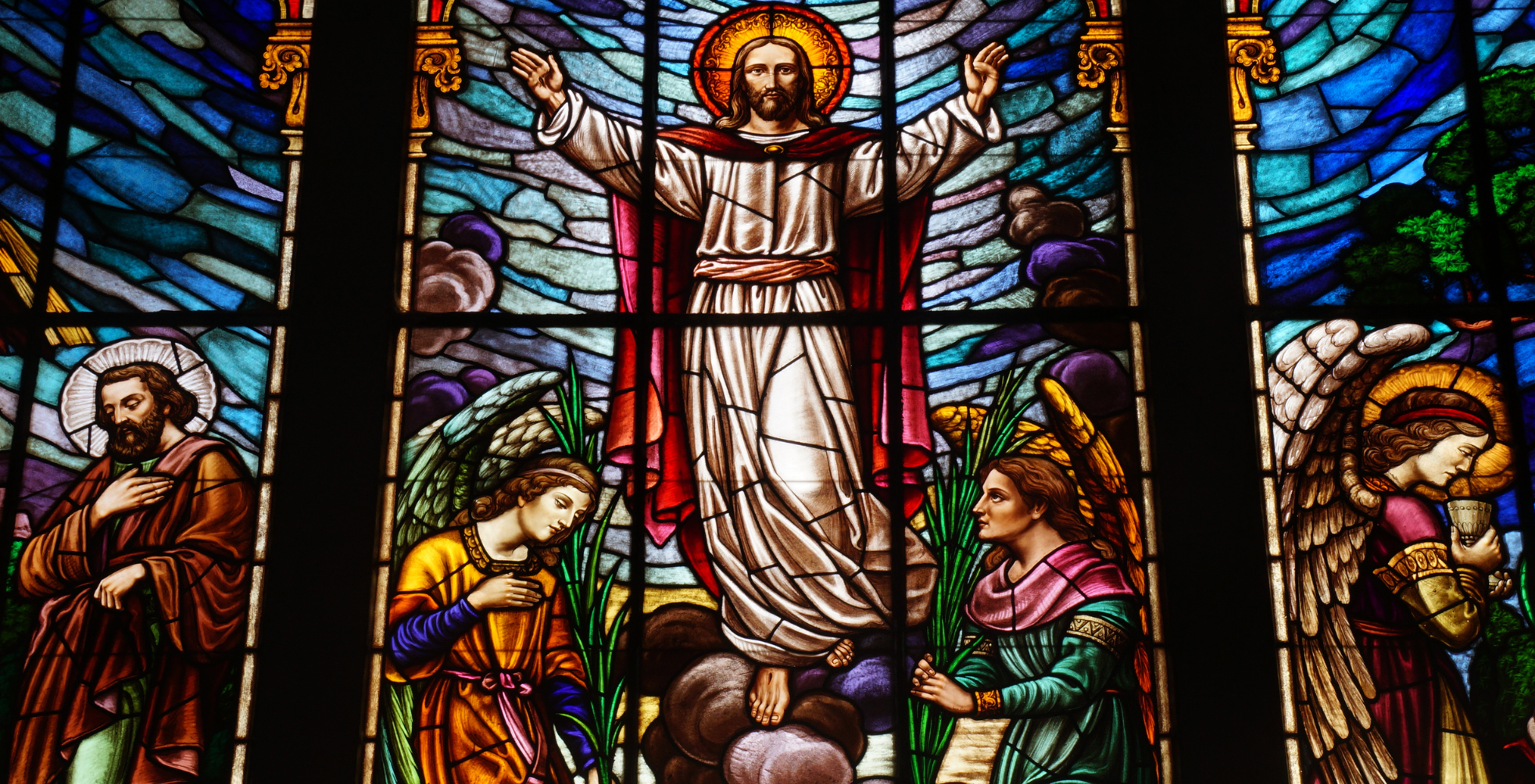Deep Roots of Faith: Enrich Advent with the Jesse Tree Tradition in Your Catholic School